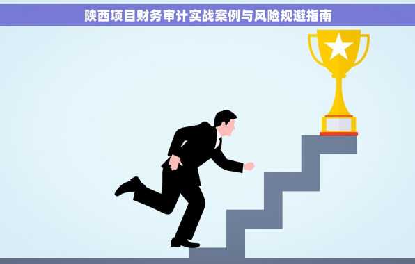 陕西项目财务审计实战案例与风险规避指南