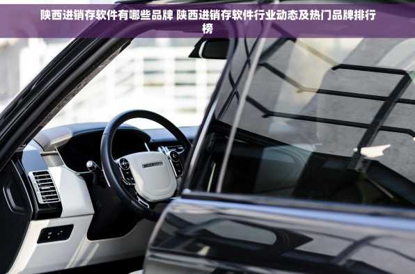 陕西进销存软件有哪些品牌 陕西进销存软件行业动态及热门品牌排行榜