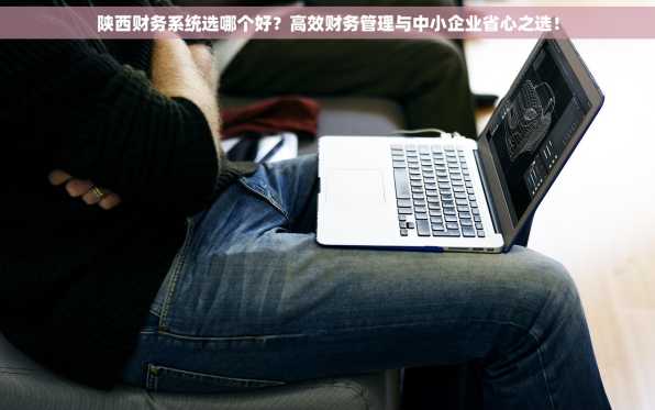 陕西财务系统选哪个好？高效财务管理与中小企业省心之选！