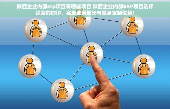 陕西企业内部erp项目有哪些项目 陕西企业内部ERP项目选择适合的ERP，实现业务增长与量身定制优势！