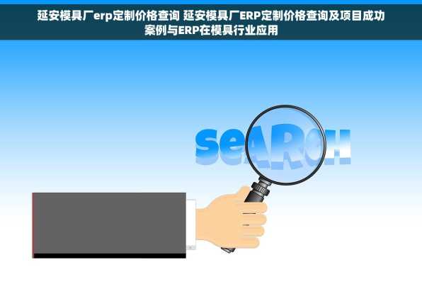 延安模具厂erp定制价格查询 延安模具厂ERP定制价格查询及项目成功案例与ERP在模具行业应用