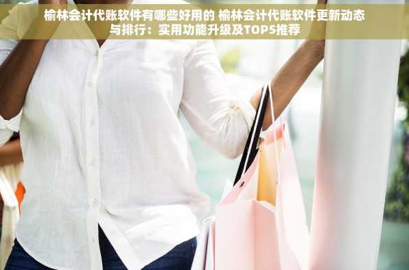 榆林会计代账软件有哪些好用的 榆林会计代账软件更新动态与排行：实用功能升级及TOP5推荐