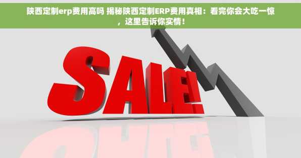 陕西定制erp费用高吗 揭秘陕西定制ERP费用真相：看完你会大吃一惊，这里告诉你实情！