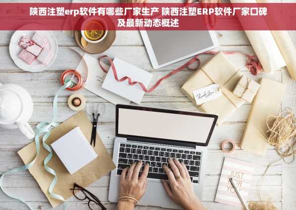 陕西注塑erp软件有哪些厂家生产 陕西注塑ERP软件厂家口碑及最新动态概述