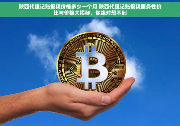 陕西代理记账报税价格多少一个月 陕西代理记账报税服务性价比与价格大揭秘，你绝对想不到