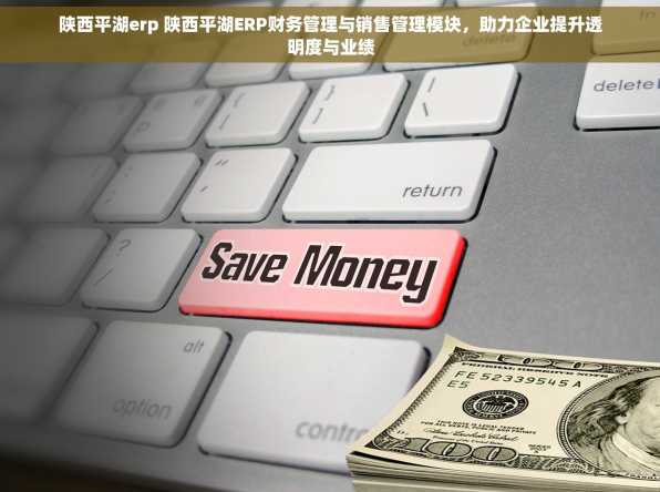 陕西平湖erp 陕西平湖ERP财务管理与销售管理模块，助力企业提升透明度与业绩