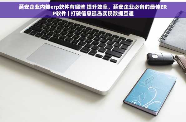 延安企业内部erp软件有哪些 提升效率，延安企业必备的最佳ERP软件 | 打破信息孤岛实现数据互通
