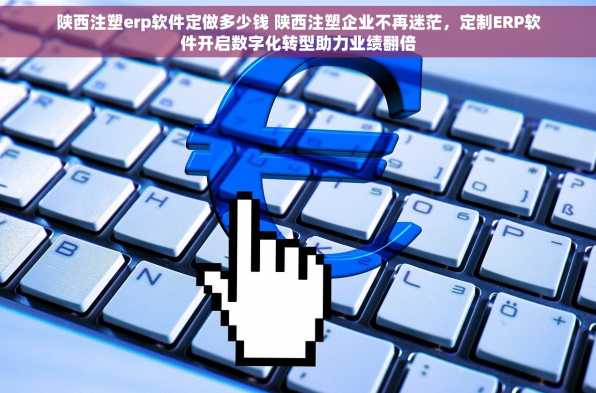 陕西注塑erp软件定做多少钱 陕西注塑企业不再迷茫，定制ERP软件开启数字化转型助力业绩翻倍