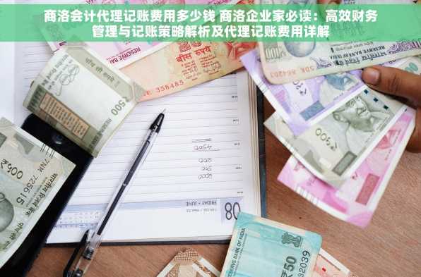商洛会计代理记账费用多少钱 商洛企业家必读：高效财务管理与记账策略解析及代理记账费用详解