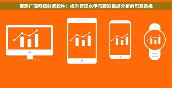 宝鸡广源科技财务软件：提升管理水平与精准数据分析的可靠选择