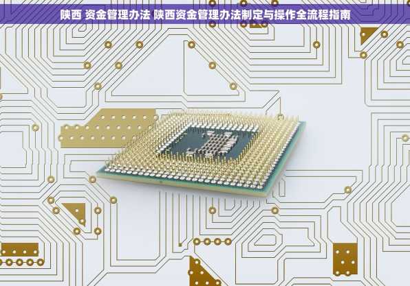 陕西 资金管理办法 陕西资金管理办法制定与操作全流程指南