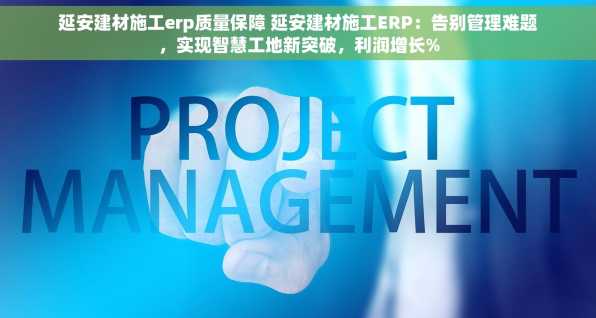 延安建材施工erp质量保障 延安建材施工ERP：告别管理难题，实现智慧工地新突破，利润增长%