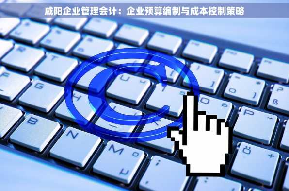 咸阳企业管理会计：企业预算编制与成本控制策略