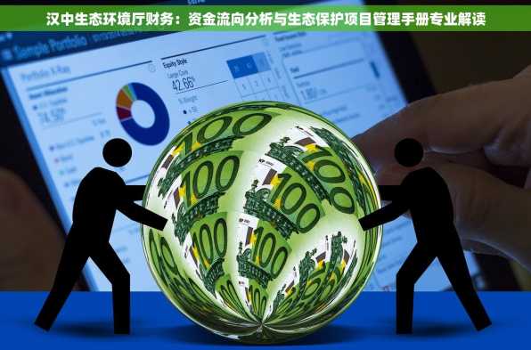 汉中生态环境厅财务：资金流向分析与生态保护项目管理手册专业解读