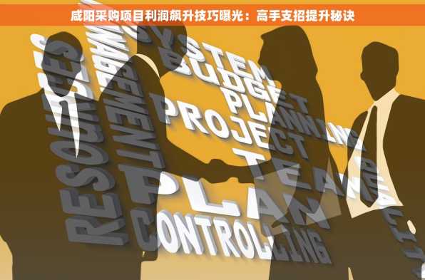 咸阳采购项目利润飙升技巧曝光：高手支招提升秘诀