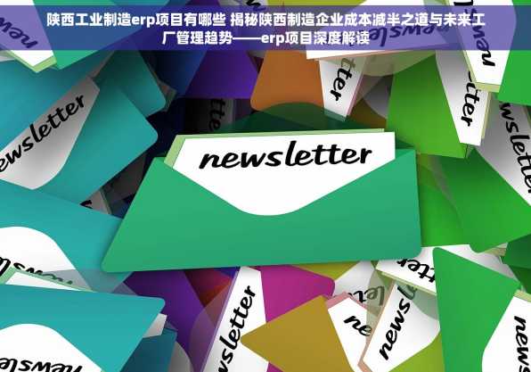 陕西工业制造erp项目有哪些 揭秘陕西制造企业成本减半之道与未来工厂管理趋势——erp项目深度解读