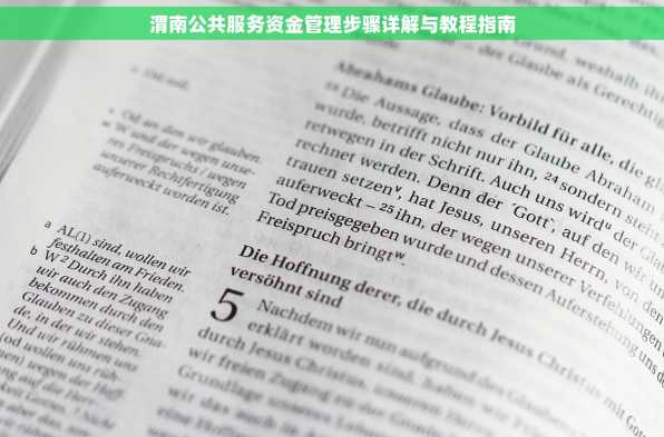 渭南公共服务资金管理步骤详解与教程指南