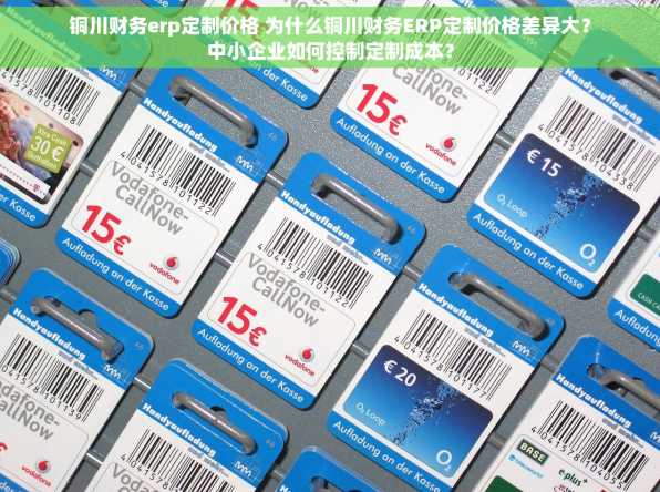 铜川财务erp定制价格 为什么铜川财务ERP定制价格差异大？中小企业如何控制定制成本？