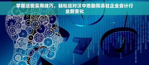 掌握这些实用技巧，轻松应对汉中地勘院派驻企业会计行业新变化
