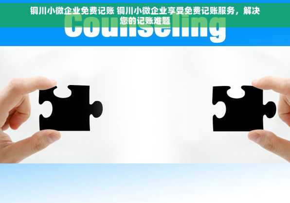 铜川小微企业免费记账 铜川小微企业享受免费记账服务，解决您的记账难题