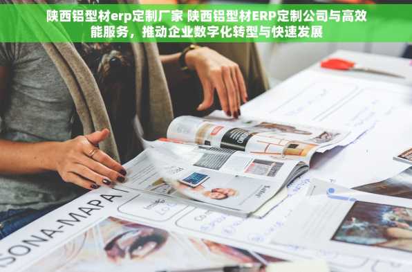 陕西铝型材erp定制厂家 陕西铝型材ERP定制公司与高效能服务，推动企业数字化转型与快速发展