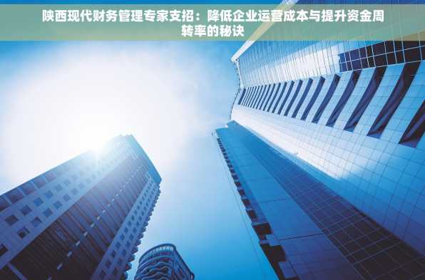 陕西现代财务管理专家支招：降低企业运营成本与提升资金周转率的秘诀