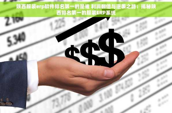 陕西服装erp软件排名第一的是谁 利润翻倍与逆袭之路：揭秘陕西排名第一的服装ERP系统