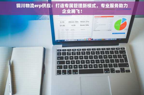 铜川物流erp供应：打造专属管理新模式，专业服务助力企业腾飞！