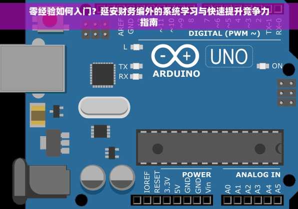 零经验如何入门？延安财务编外的系统学习与快速提升竞争力指南