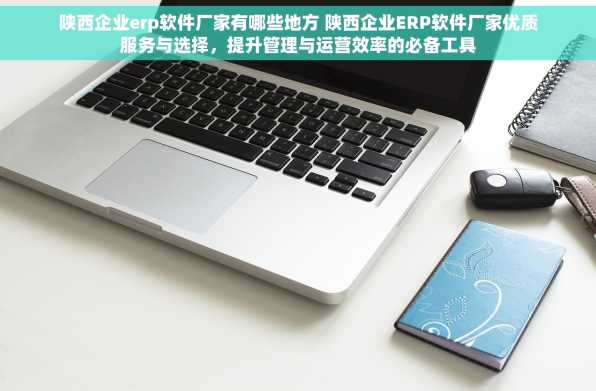 陕西企业erp软件厂家有哪些地方 陕西企业ERP软件厂家优质服务与选择，提升管理与运营效率的必备工具