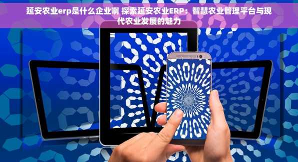 延安农业erp是什么企业啊 探索延安农业ERP：智慧农业管理平台与现代农业发展的魅力