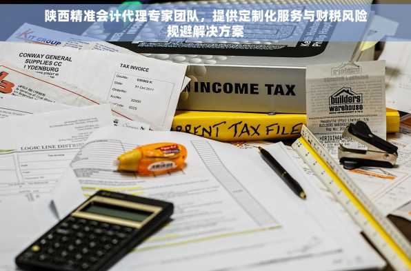 陕西精准会计代理专家团队，提供定制化服务与财税风险规避解决方案