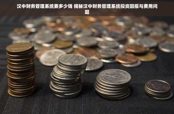 汉中财务管理系统要多少钱 揭秘汉中财务管理系统投资回报与费用问题