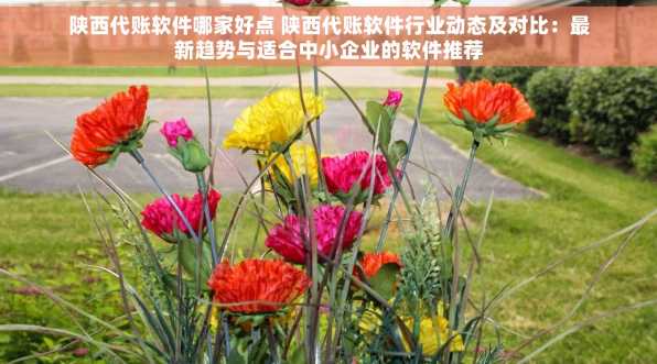 陕西代账软件哪家好点 陕西代账软件行业动态及对比：最新趋势与适合中小企业的软件推荐