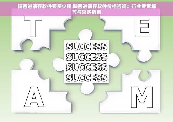 陕西进销存软件要多少钱 陕西进销存软件价格咨询：行业专家解答与采购指南