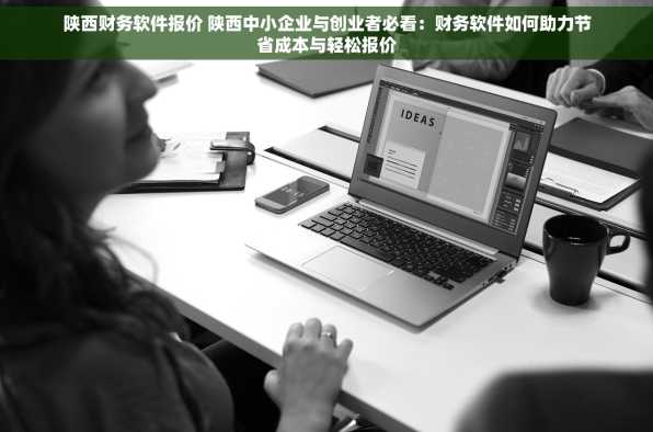 陕西财务软件报价 陕西中小企业与创业者必看：财务软件如何助力节省成本与轻松报价