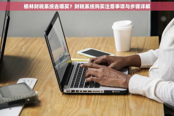 榆林财税系统去哪买？财税系统购买注意事项与步骤详解