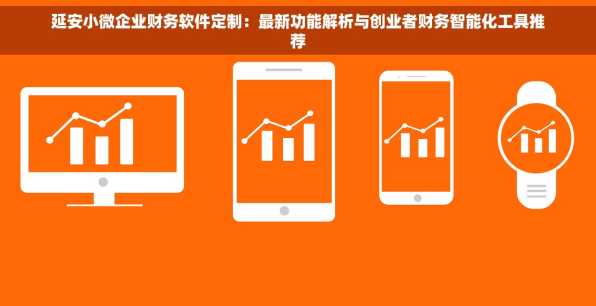延安小微企业财务软件定制：最新功能解析与创业者财务智能化工具推荐