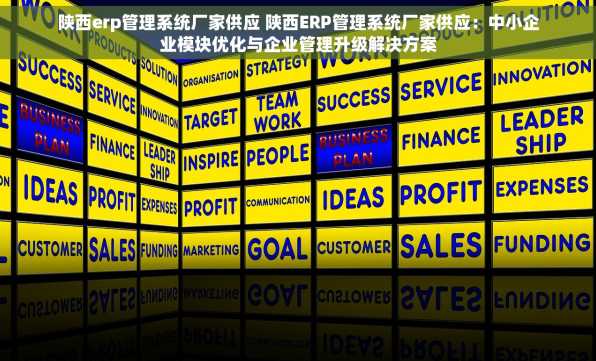 陕西erp管理系统厂家供应 陕西ERP管理系统厂家供应：中小企业模块优化与企业管理升级解决方案