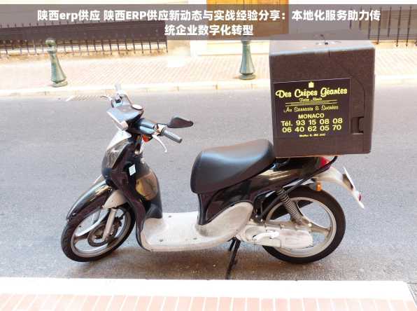 陕西erp供应 陕西ERP供应新动态与实战经验分享：本地化服务助力传统企业数字化转型