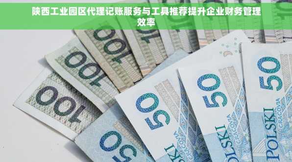 陕西工业园区代理记账服务与工具推荐提升企业财务管理效率