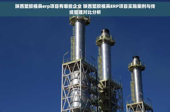 陕西塑胶模具erp项目有哪些企业 陕西塑胶模具ERP项目实施案例与传统管理对比分析