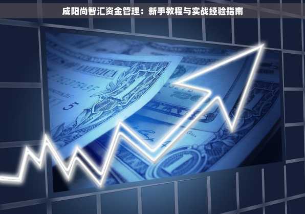 咸阳尚智汇资金管理：新手教程与实战经验指南