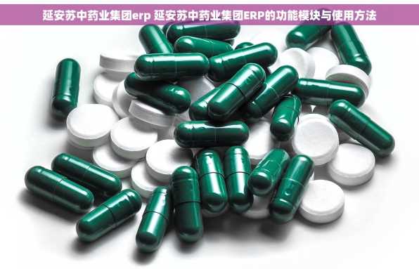 延安苏中药业集团erp 延安苏中药业集团ERP的功能模块与使用方法
