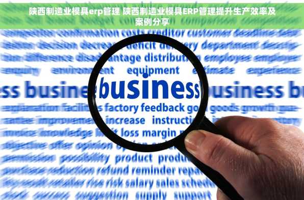 陕西制造业模具erp管理 陕西制造业模具ERP管理提升生产效率及案例分享