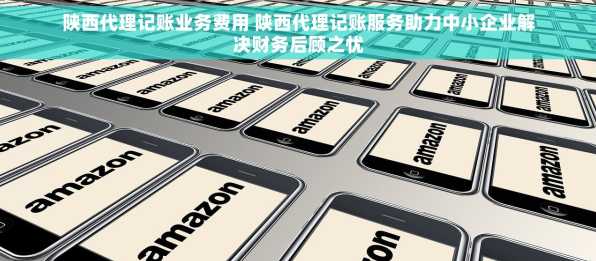 陕西代理记账业务费用 陕西代理记账服务助力中小企业解决财务后顾之忧