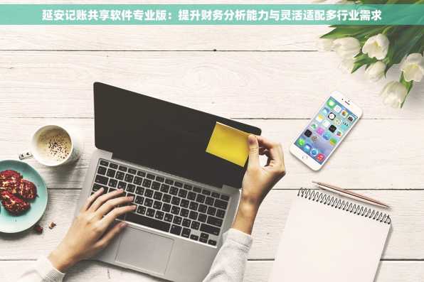 延安记账共享软件专业版：提升财务分析能力与灵活适配多行业需求