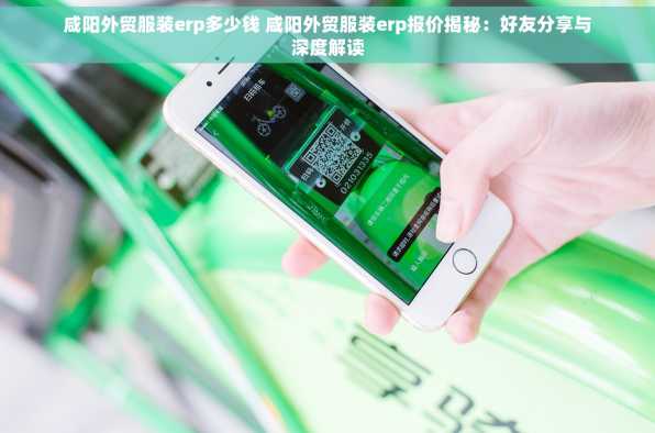 咸阳外贸服装erp多少钱 咸阳外贸服装erp报价揭秘：好友分享与深度解读