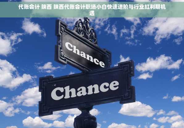 代账会计 陕西 陕西代账会计职场小白快速进阶与行业红利期机遇