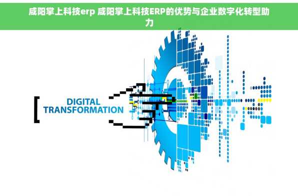 咸阳掌上科技erp 咸阳掌上科技ERP的优势与企业数字化转型助力